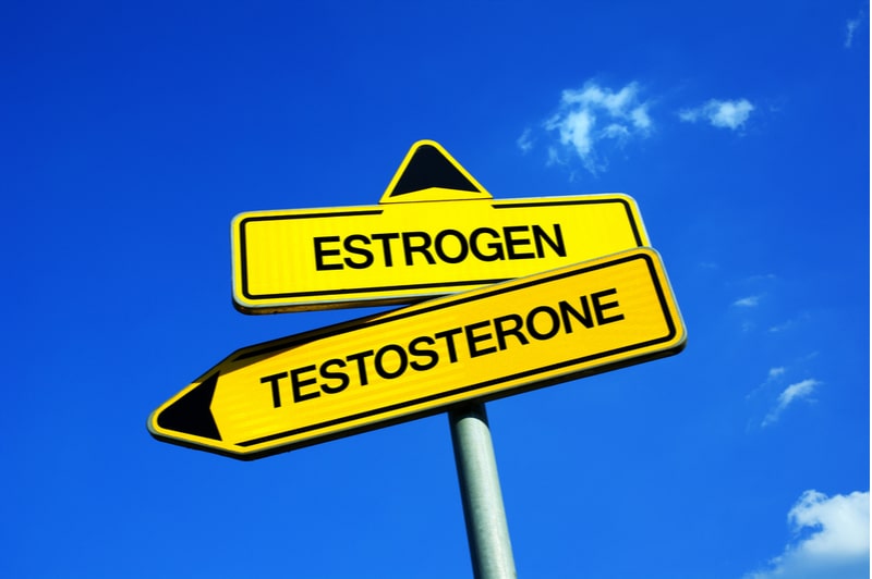 Wwo yellow signs with arrows pointing to estrogen and testosterone.